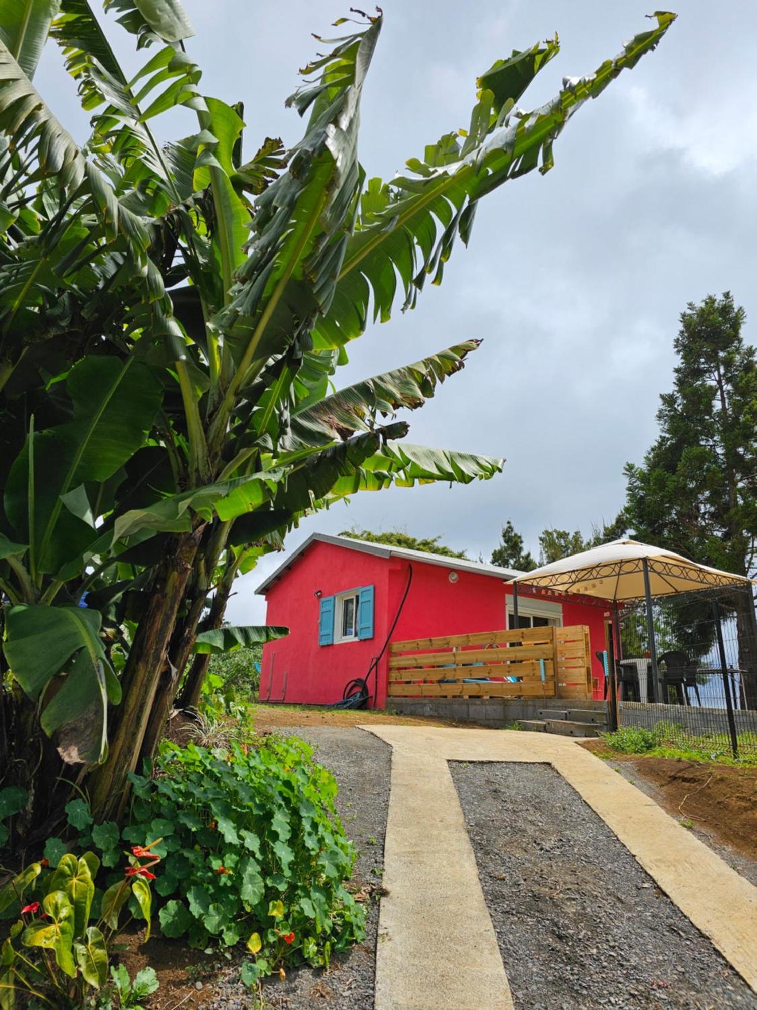 Au Coeur Des Plantations Guest House La Possession Exterior photo